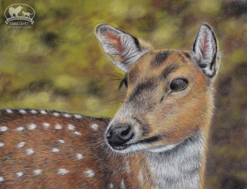 Waldtiere malen in Softpastell auf Velourpapier