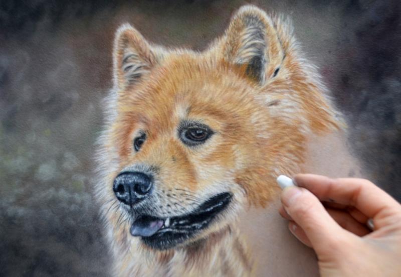 Tiermalerei in Softpastell auf Velourpapier